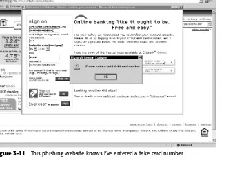 Figure 3-11This phishing website knows I’ve entered a fake card number. 