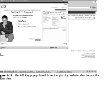 Figure 3-15The Bill Pay popup linked from the phishing website also betrays the address bar.