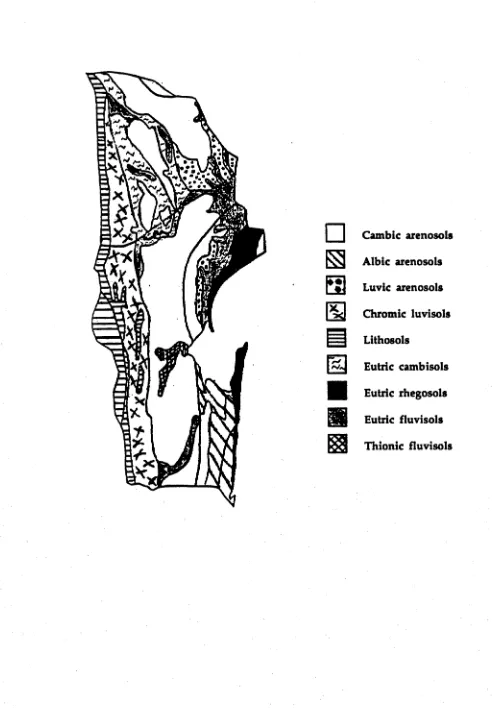 FIGURE 1.8: The main soil types of Maputo province. (Adapted from Voortman and Spiers, 1982).