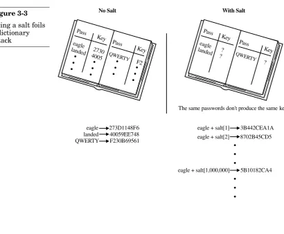 Figure 3-3Using a salt foilsa dictionary