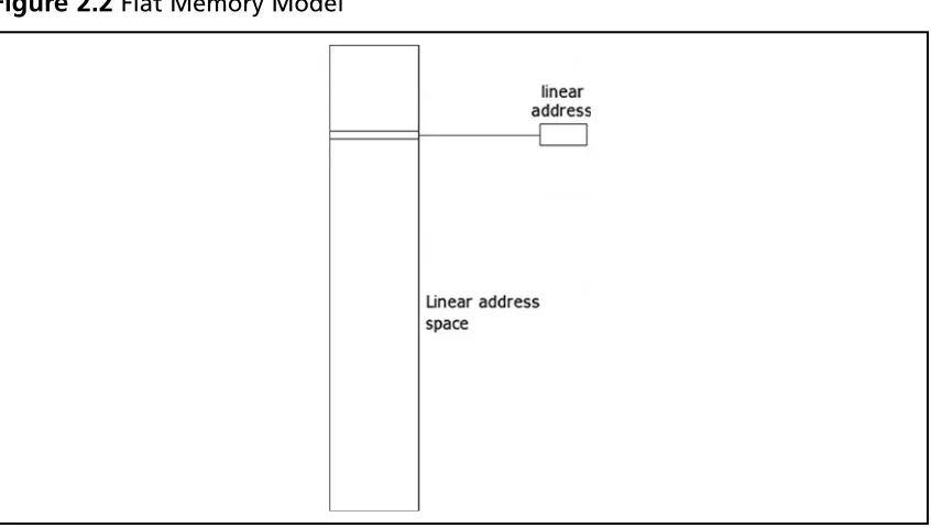 Figure 2.2 Flat Memory Model
