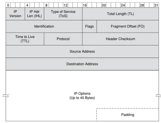 Figure 1-4 IP Packet Header Layer 3