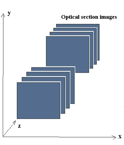 Figure 4.3.1: A CSLO System [12] 