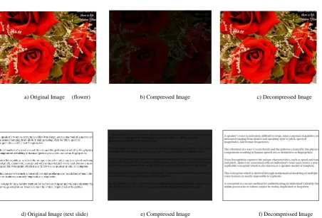 Fig 5: Compression and Decompression of images using TIF  format 1440x900 Resolution