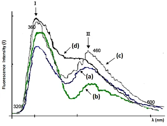 Figure 1. Fluorescence spectrum of the blood plasma of control group [10]. 