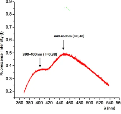 Figure 3. Mean fluorescence spectrum of the tumor tis-sue of men with benign hyperplasia of prostate