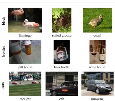 Figure 3.1: Examples from the ImageNet image classiﬁcation dataset, illustrating thevariety of ﬁne-grained object classes.
