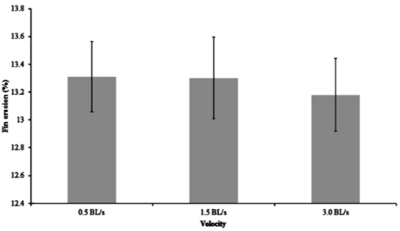 Figure 4. Mean (± SD) hepatosomatic index (HSI) of landlocked fall Chi-nook salmon reared at three different water velocities (body length/s = BL/s) for four weeks (n = 3)