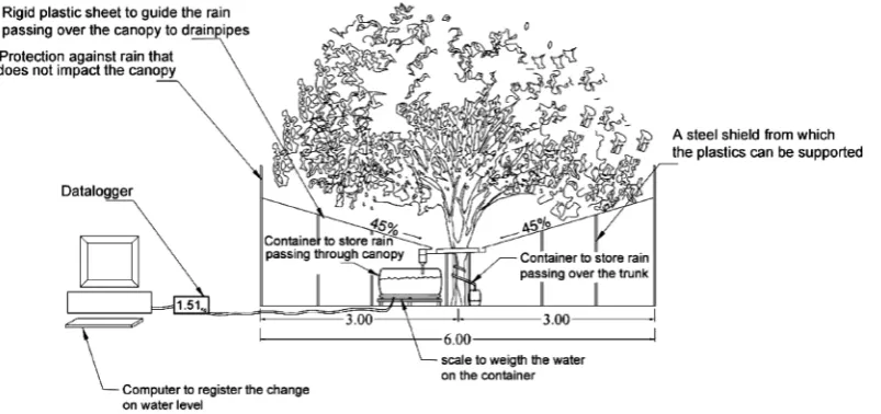 Figure 2. In the system, the input and output are the gross precipitation (Pg) and net precipitation (Pn) respectively