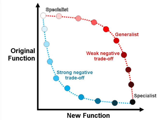 Figure 1.5. The two extremes of the mutational pathways possible for an enzyme to develop a new 