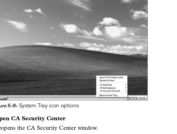 Figure 5-8: System Tray icon options