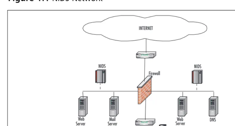 Figure 1.1 NIDS Network