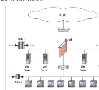 Figure 1.3 DIDS Network