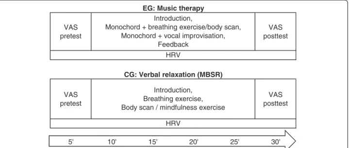 Figure 1 Study design and procedures.