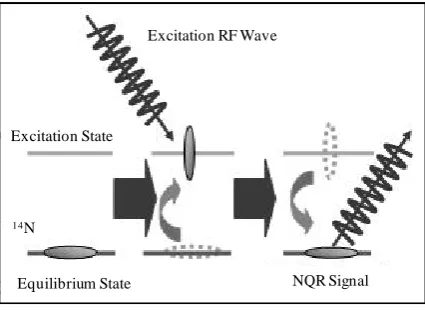 Figure 6. Principle of mine detection by NQR method.     