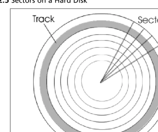 Figure 2.5 Sectors on a Hard Disk