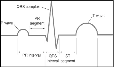 Fig 2: Typical ECG Waveform 