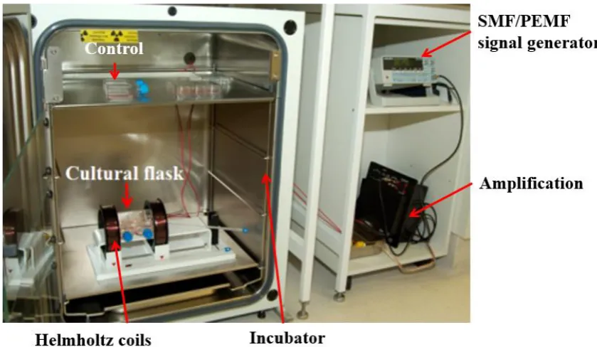 Figure 4.1 Self-made EMF device in controlling the frequency and signal type. The 