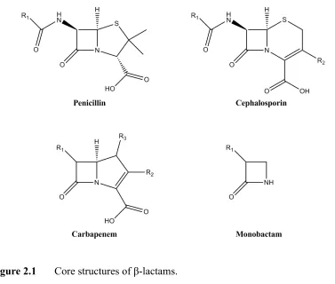 Figure 2.1 Core structures of β-lactams.