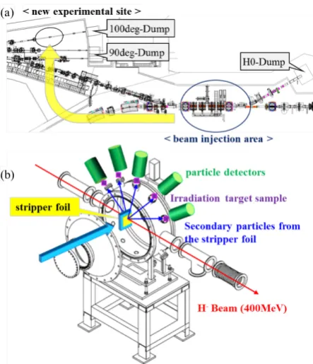 Fig. 12. Schematic views of experimental system to measure secondary particles from stripper foil