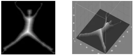 Figure 5: The result of applying distance transformation 