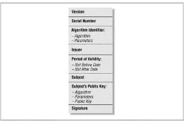 Figure 6.5. Some of the additional fields in the Vineyard.NET's X.509 v3 certificate, as displayed by Microsoft Internet Explorer 