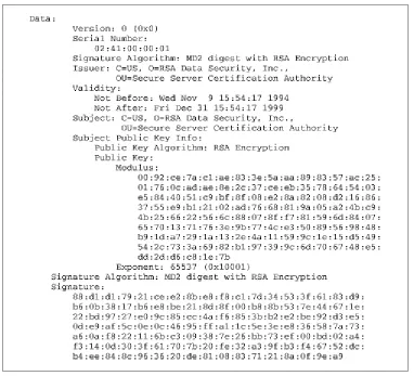 Figure 6.6. The original RSA Secure Server Certification Authority certificate 
