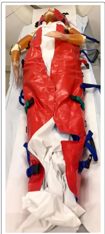 Fig. 1 The phantom in a vacuum mattress