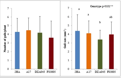 Figure 4.1: Gall phenotypes observed in four Medicago truncatula 