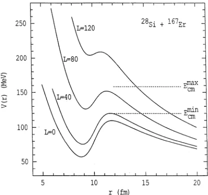 Figure 2.1 The 28Si + 167E r nucleus-nucleus potential with L = 0, 40, 80 and 120. The V0 , rn and 5 used are those of Lozano and M adurga [LOZ80]