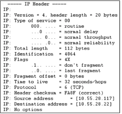 Figure 1.3a Extracted during the transmission of an Internet Control Message Protocol (ICMP) ping test (ICMP is explained later in this chapter)