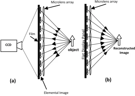 Fig.1:Conceptual diagram of pickup and display process in the integral imaging system: (a) pick up process and (b) 