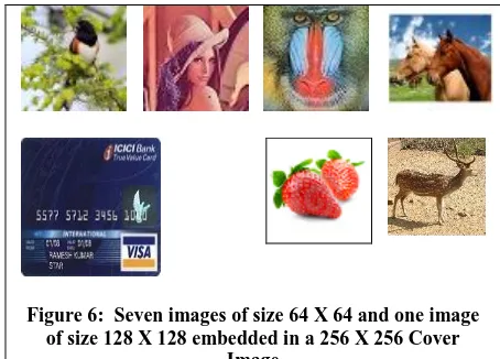 Figure 6:  Seven images of size 64 X 64 and one image of size 128 X 128 embedded in a 256 X 256 Cover 