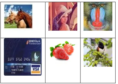 Figure 7: Six secret images embedded into cover (Embedding capacity 56.25%)