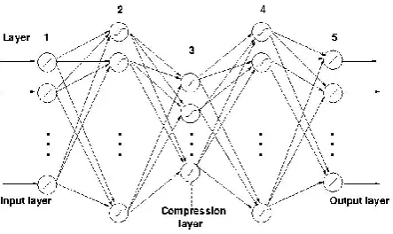 Fig 5(a)  A Five Layer AANN model 