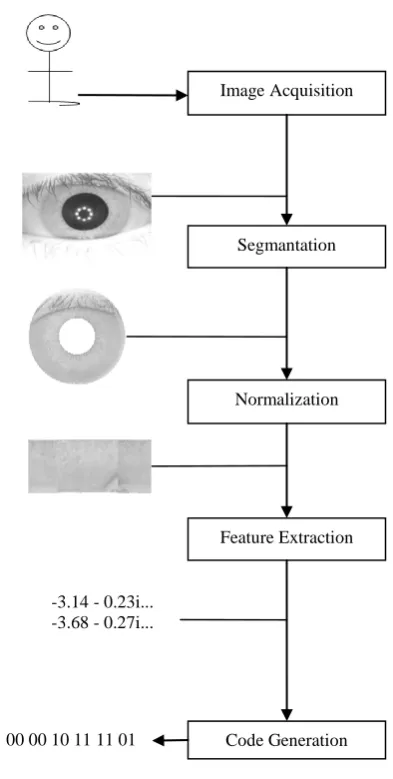 Fig 5:Segmentation process of an iris recognition system 