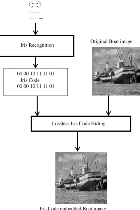 Fig 8: Enrolment process of proposed authentication system 