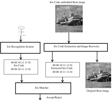 Fig 10: Result of loss less iris code hiding and extraction 