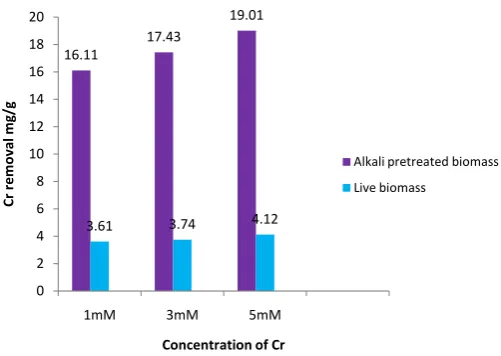 Figure 1. Comparison of chromium biosorption potential of alkali pretreated and live A