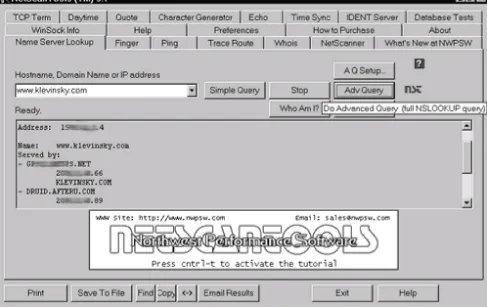 Figure 12-10. NetScanTools Advanced Query Options