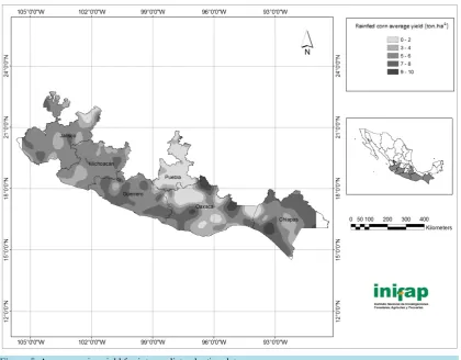 Figure 5. Average maize yield for intermediate planting dates.                                               