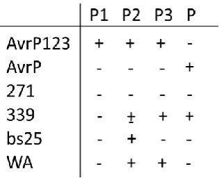 Table 2.1 AvrP/P123 variants found in flax rust 