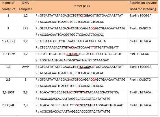 Table 2.5 Primer pairs used for site-directed mutagenesis 