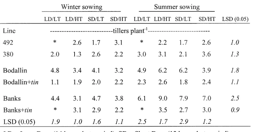 Table 2.1 Average final number of tillers planr1 (including the mainstem) of non-stunted plants under the various combinations of temperature (17 /9°C or 26/l 8°C) and daylength (12 or 16 hours) grown during winter and summer 