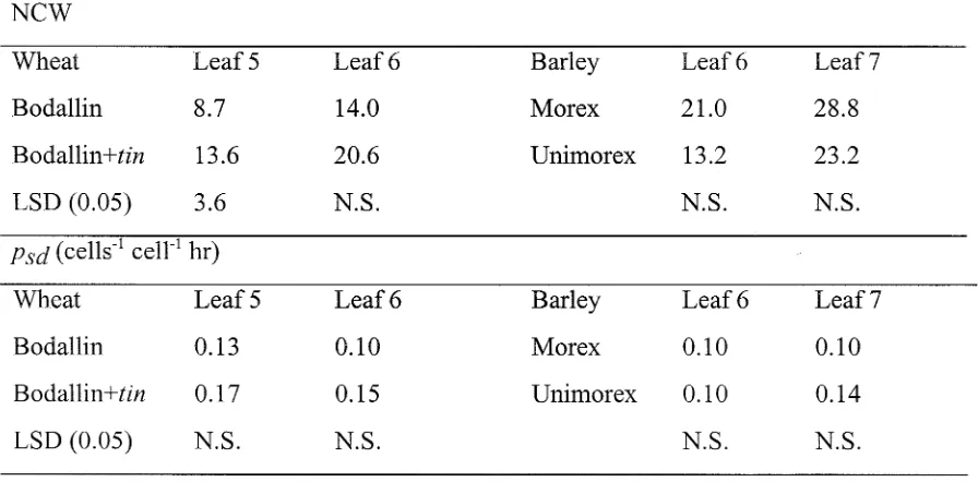 Table 3.5 New cell walls (NCW) and partitioning rate (p8d) for the leaves of the wheat 