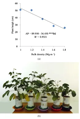 Figure 5. Number of leaves of jack bean plants according to levels of bulk density. ***Significant at 0.1%
