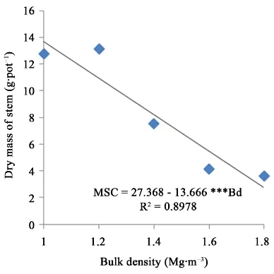 Figure 8. Dry mass of leaves of jack bean plants according to levels of bulk density. ***Significant at 0.1%