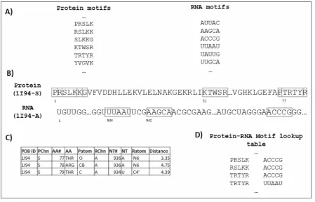 Fig. 1. Generation of the protein-RNA motif lookup table. A)protein and RNA interfacial motifs used to scan target sequences