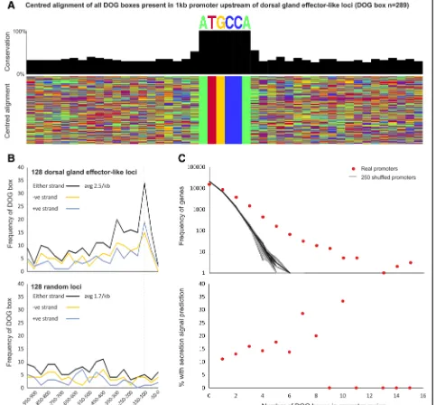 Fig. 2 DOG boxes in dorsal gland effector-like loci.positional enrichment upstream of promoters in DOG-box genes and a lack of enrichment for 128 random gene promoters