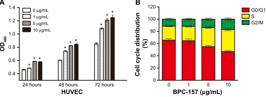 Figure 4 BPC-157 influences the proliferation and cell cycle distribution of HUVECs.Notes: (A) cells were treated with or without 1 μg/ml, 5 μg/ml, or 10 μg/ml BPc-157 for 24 hours to 72 hours, and cell proliferation viability was determined by the MTT ass
